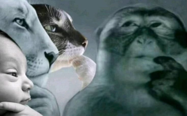 Penggunaan AI Bikin Pintar Instan atau Tumpul Pelan-Pelan?